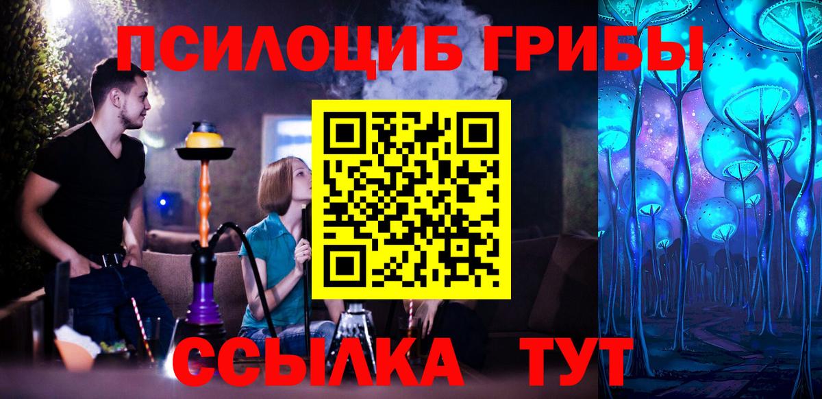 Псилоцибиновые грибы Cubensis Зеленогорск