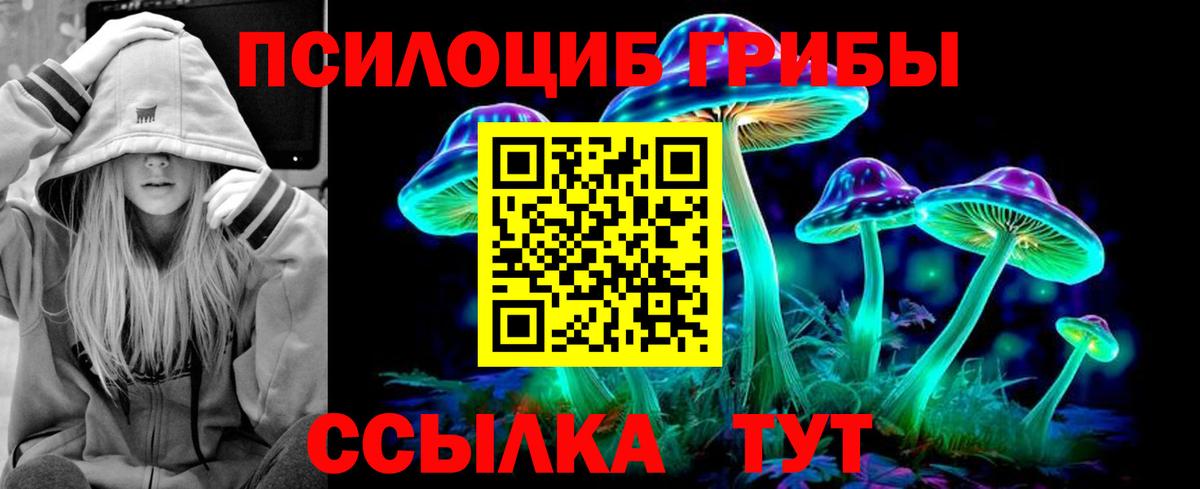 Зеленогорск  купить  сайты  Вход с VPN  Псилоцибиновые грибы мицелий 